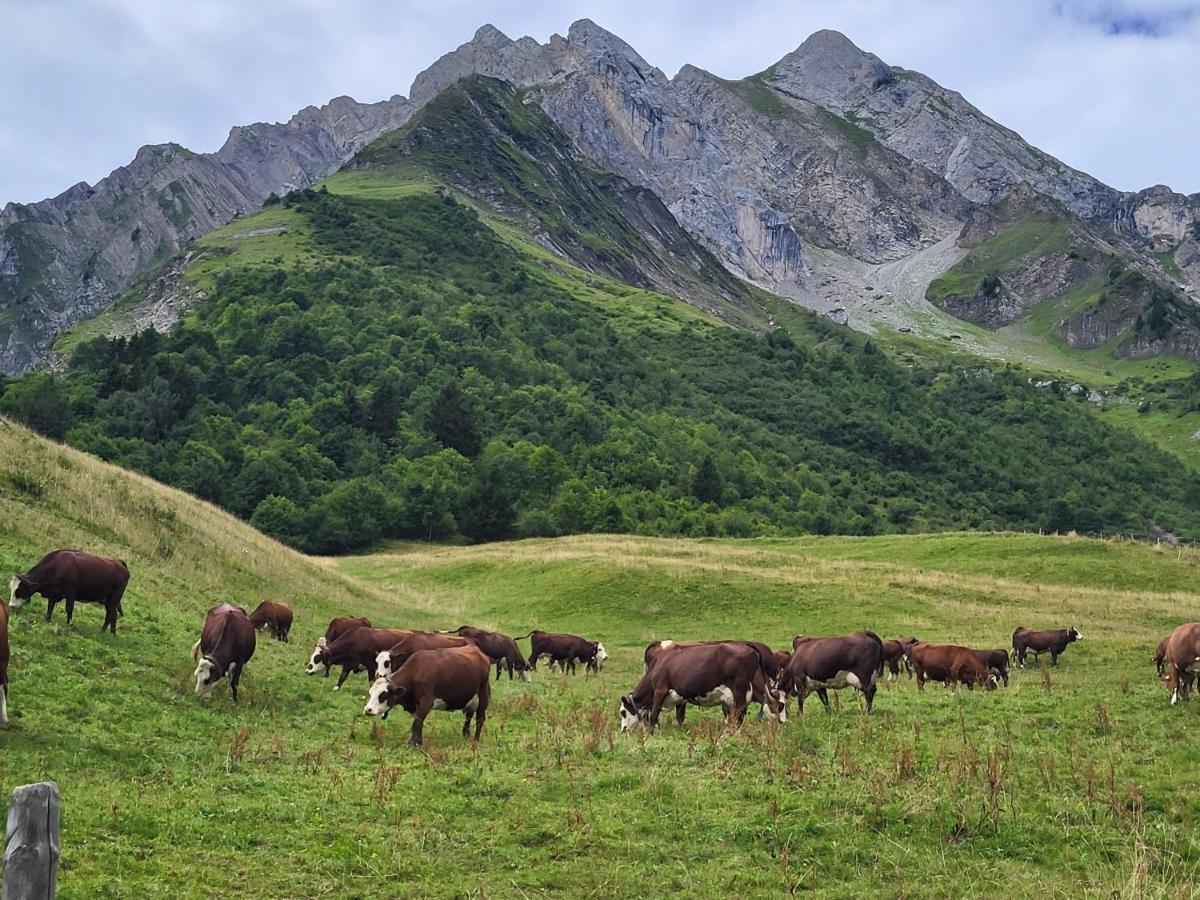 La Petite Anfiane Βίλα Le Grand-Bornand Εξωτερικό φωτογραφία